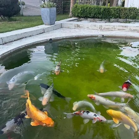 Apartamento Alex Inzigkofen